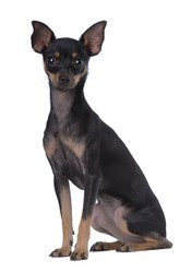 Similar image 797070