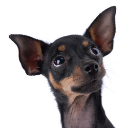 Similar image 797072