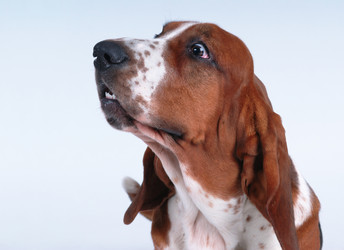 Similar image 797085