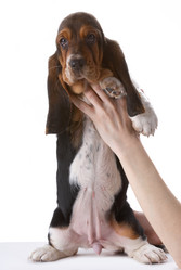 Similar image 797087