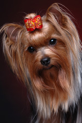 Similar image 797093