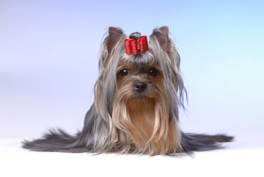 Similar image 797095