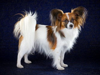 Similar image 797145