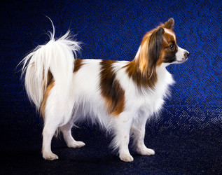 Similar image 797146