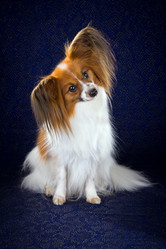 Similar image 797147