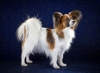 Similar image 797148