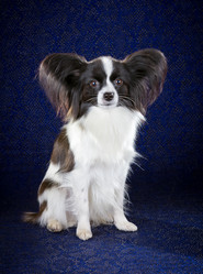 Similar image 797151