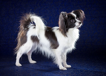 Similar image 797152