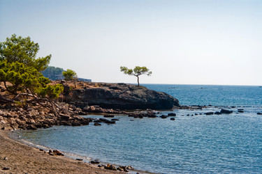 Similar image 797380