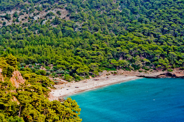 Similar image 797381