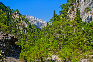 Similar image 797396