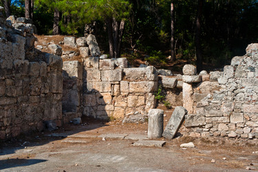 Similar image 797403