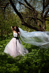 Similar image 797412