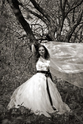 Similar image 797416