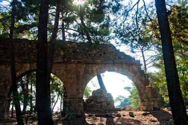 Similar image 797423