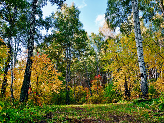 Similar image 797440