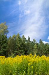 Similar image 797703