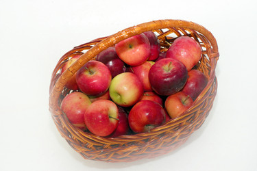 Similar image 797704