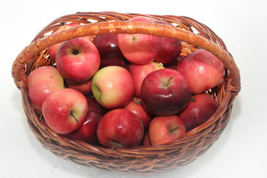 Similar image 797709