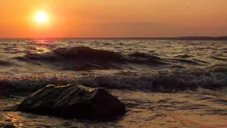 Similar image 797716