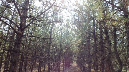 Similar image 797717