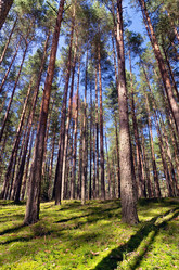 Similar image 797729