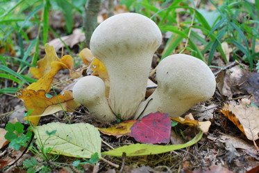 Similar image 797794