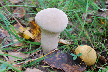 Similar image 797795