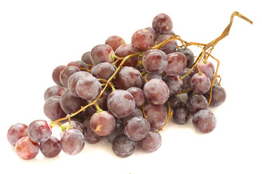 Similar image 797810