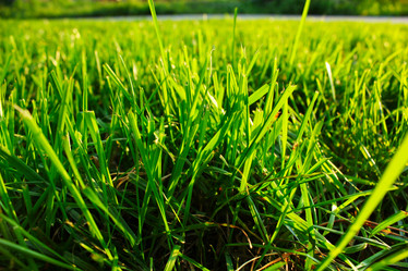 Similar image 797868