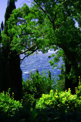 Similar image 797911