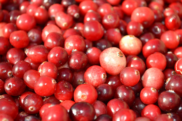 Similar image 797943