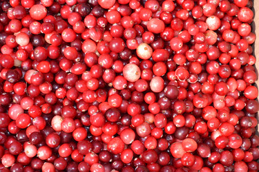 Similar image 797944