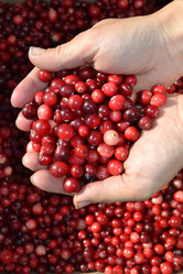 Similar image 797951