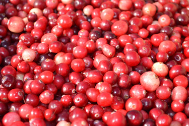 Similar image 797955