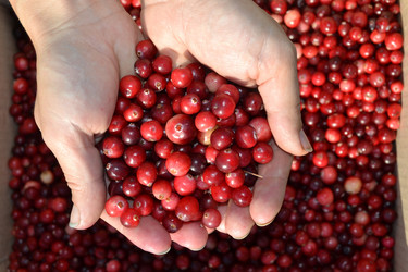 Similar image 797956