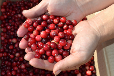 Similar image 797957