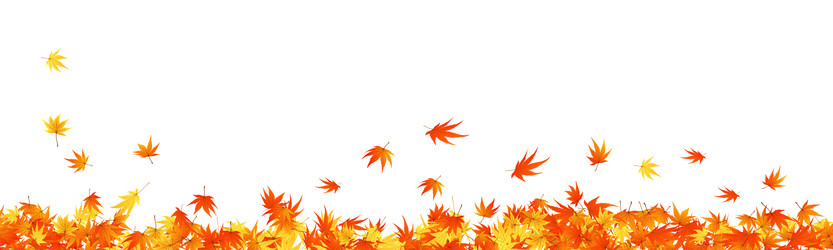 Similar image 797960