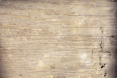 Similar image 797981