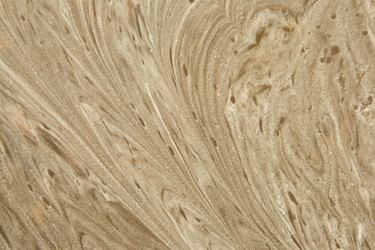 Similar image 798011