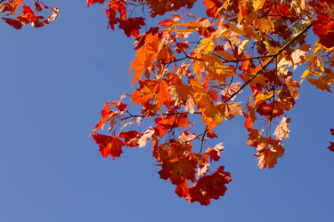 Similar image 798076