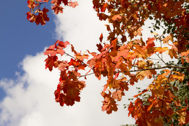 Similar image 798079