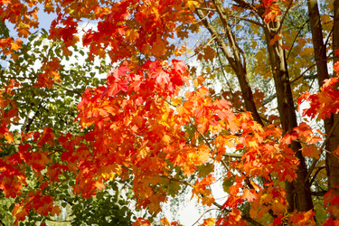 Similar image 798084