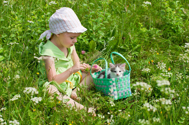 Similar image 798091