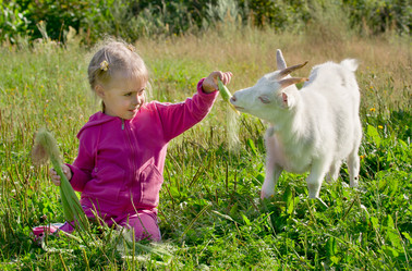 Similar image 798096