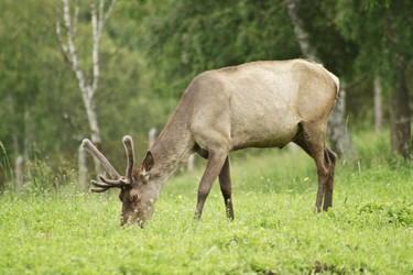 Similar image 798097