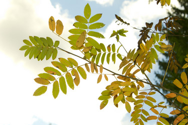 Similar image 798117