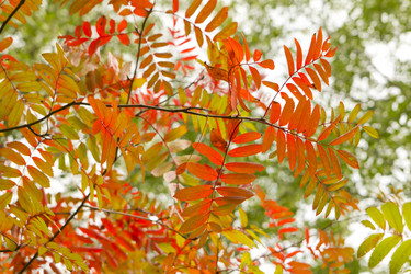 Similar image 798118