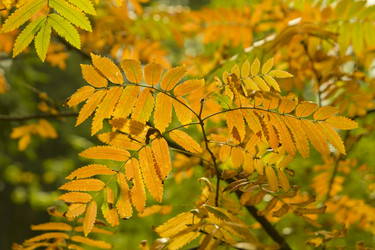 Similar image 798119