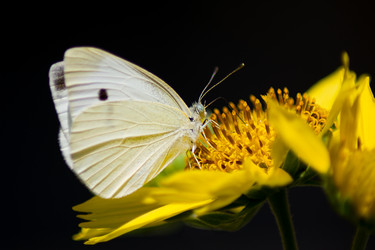 Similar image 798146